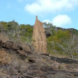 Unusual sandstone formation on coastal ridge near Seisia. Seisia, Australia.