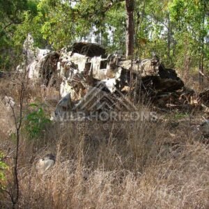 Abandoned aircraft remains in tropical woodland. Seisia, Australia.