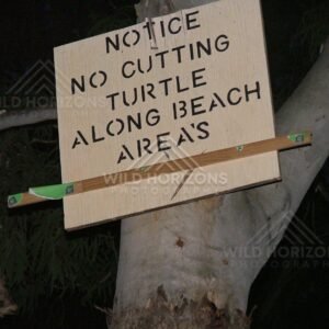 Turtle protection notice sign attached to coastal tree. Seisia, Australia.