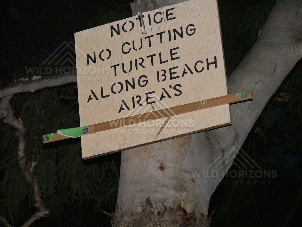 Turtle protection notice sign attached to coastal tree. Seisia, Australia.