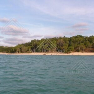 Forested shoreline and beach viewed from the water. Seisia, Australia.