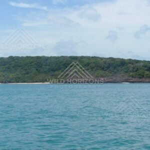 Forested island rising above turquoise coastal water. Seisia, Australia.