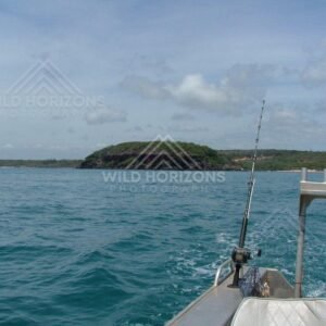 Fishing from a small boat near wooded coastline. Seisia, Australia.