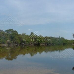 Calm reflective waters of the Jardine River. Jardine River, Australia.