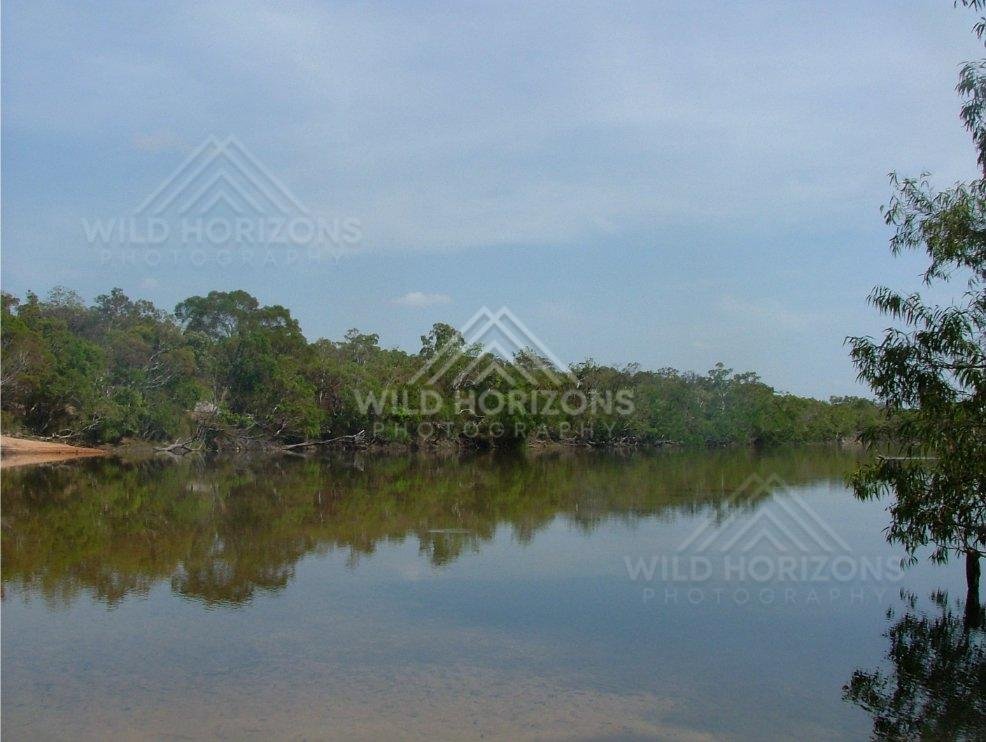 Calm reflective waters of the Jardine River. Jardine River, Australia.