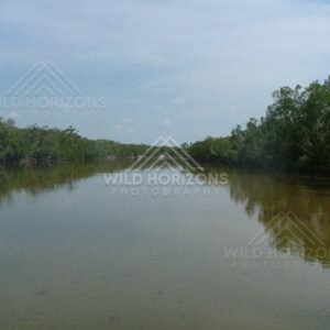 Wide calm river channel bordered by tropical vegetation under an overcast sky. Jardine River, Australia.