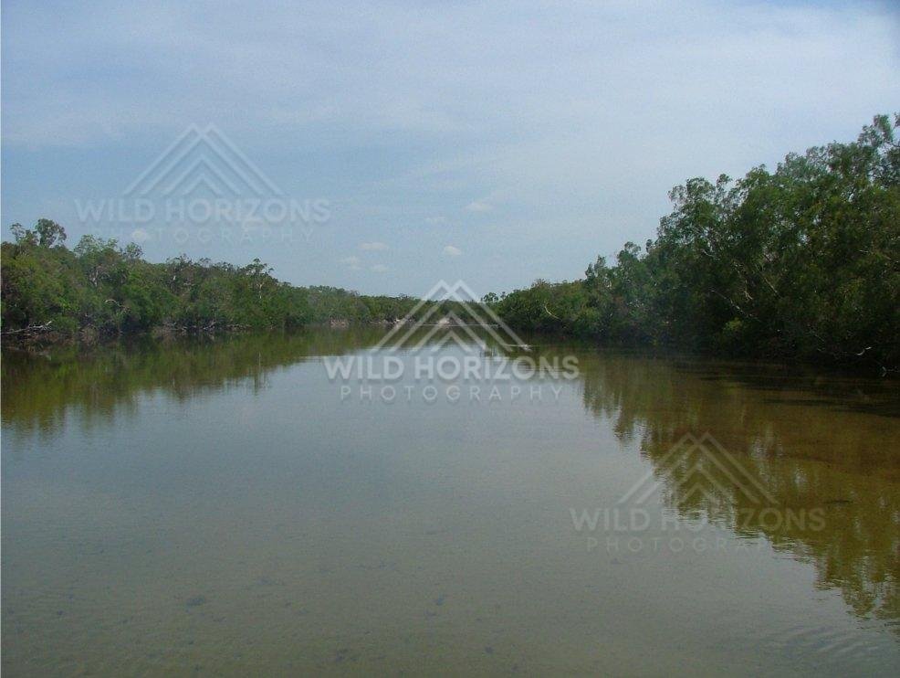 Wide calm river channel bordered by tropical vegetation under an overcast sky. Jardine River, Australia.
