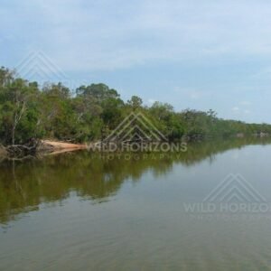 Sandy riverbank and dense greenery beside still water. Jardine River, Australia.
