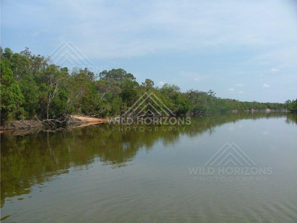 Sandy riverbank and dense greenery beside still water. Jardine River, Australia.
