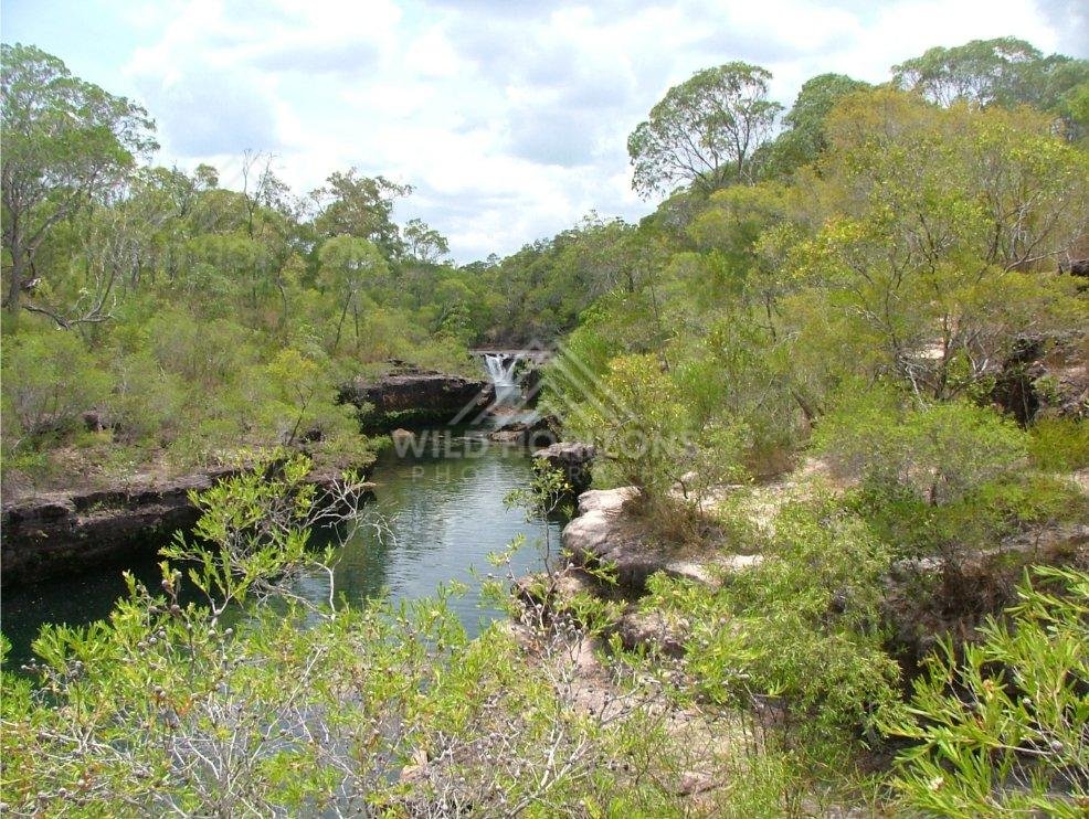 Small waterfall spilling into a clear rock pool in tropical bushland. Fruit Bat Falls, Cape York, Queensland.