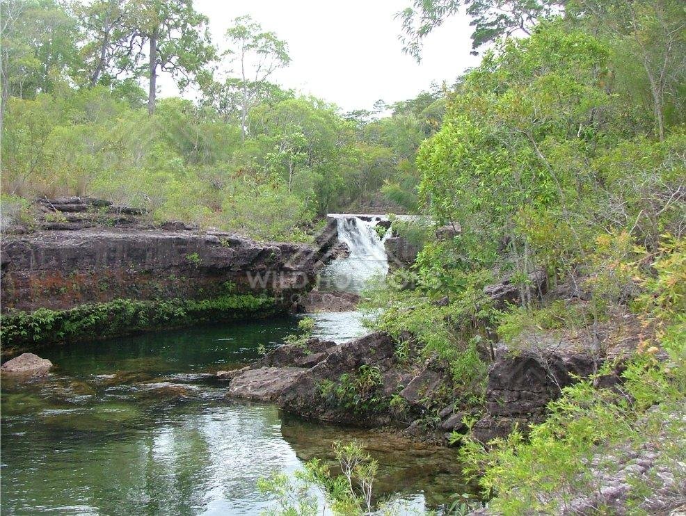 Rock-lined stream and clear pool below a low waterfall. Fruit Bat Falls, Cape York, Queensland.