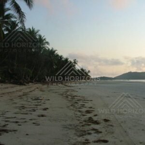 Tyre tracks along the sweeping shoreline at sunset. Chili Beach, Australia.