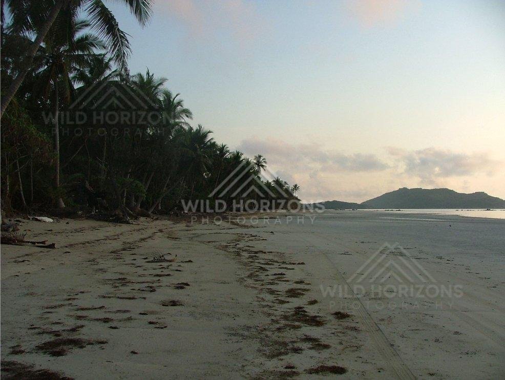 Tyre tracks along the sweeping shoreline at sunset. Chili Beach, Australia.