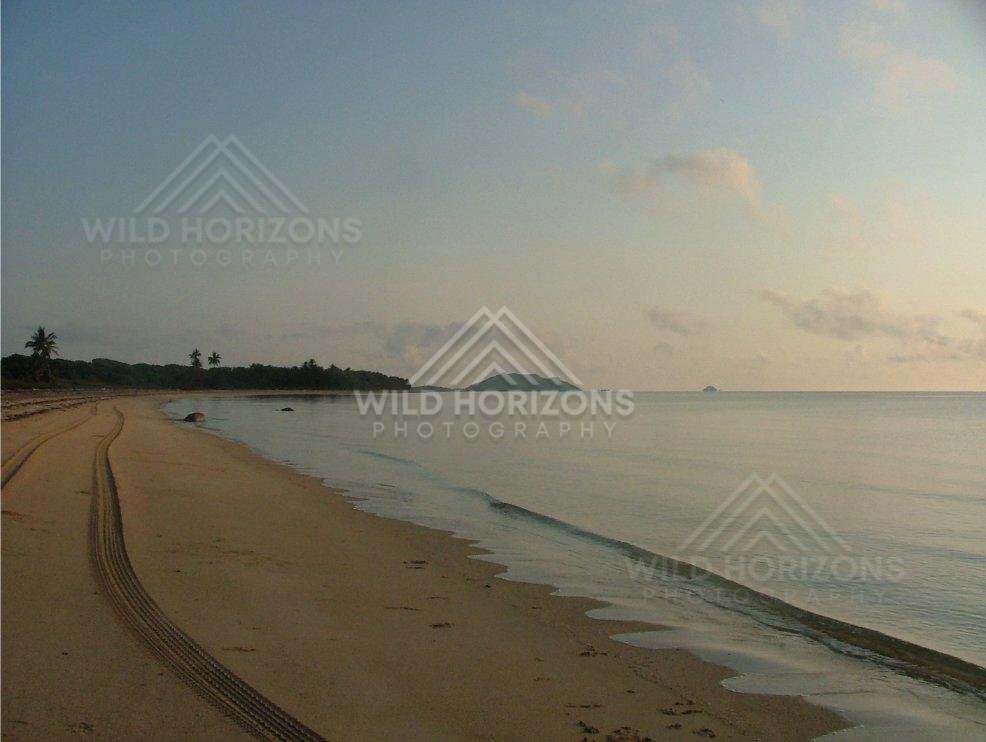 Curving shoreline with tyre tracks in golden light. Chili Beach, Australia.