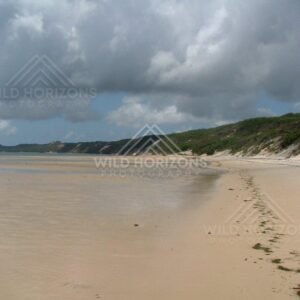 Along Elim Beach, wide tidal flats lie beneath dramatic storm clouds on a remote tropical shoreline. Elim Beach, Australia.