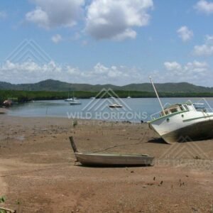 At Cooktown harbour, beached fishing boats sit on exposed mud flats as the tide falls. Cooktown, Australia.