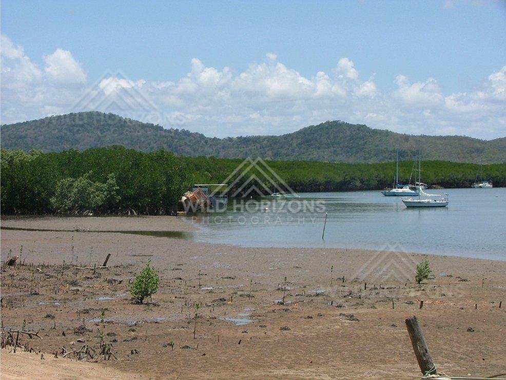 Across Cooktown, mangrove-lined inlets and moored yachts are viewed over broad tidal flats. Cooktown, Australia.