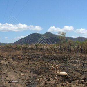 Near Black Mountain, burnt woodland forms the foreground to the dark granite range beyond. Black Mountain, Australia.