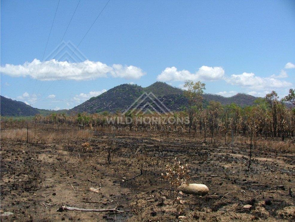 Near Black Mountain, burnt woodland forms the foreground to the dark granite range beyond. Black Mountain, Australia.