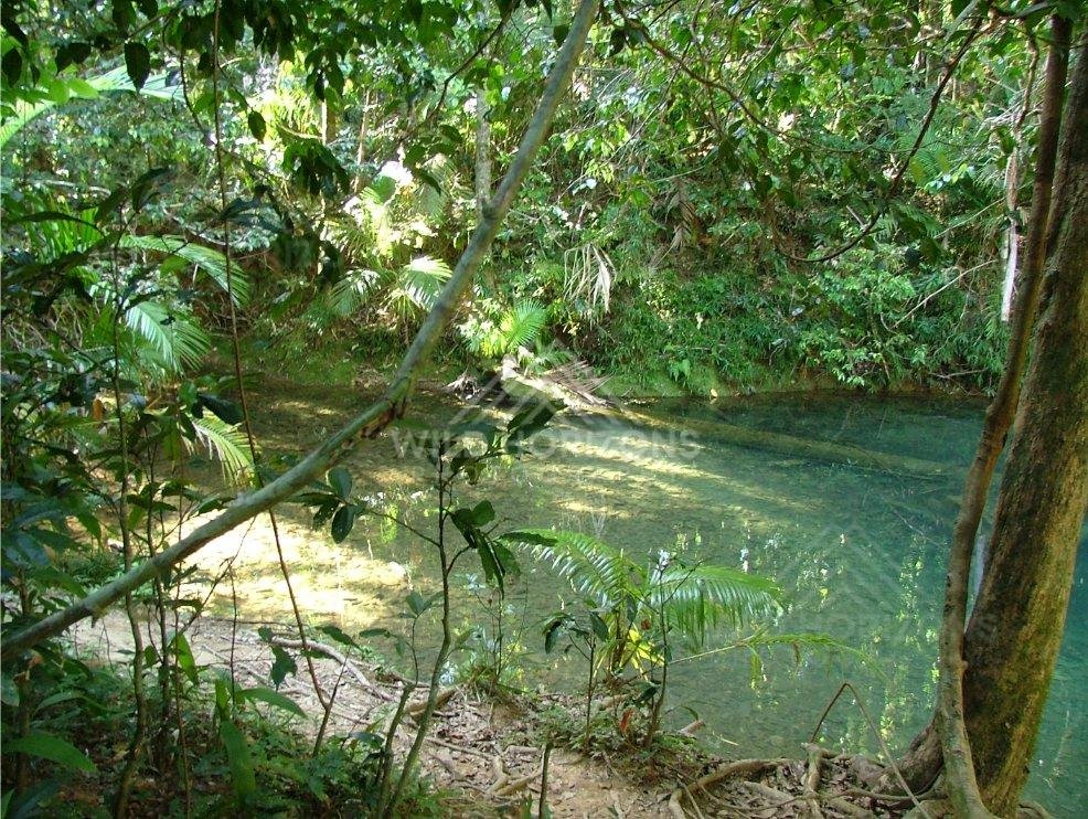 Sunlit rainforest swimming hole with reflections. Blue Hole, Daintree Rainforest, Australia.