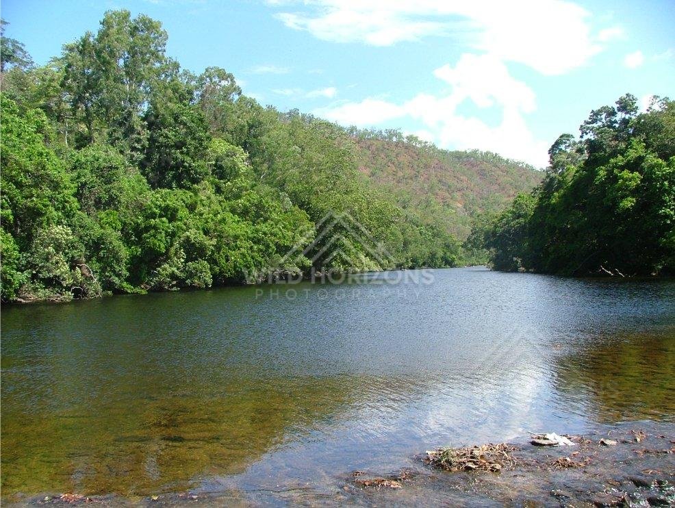 Along the Bloomfield River, clear tropical waters are bordered by dense rainforest. Bloomfield River, Australia.