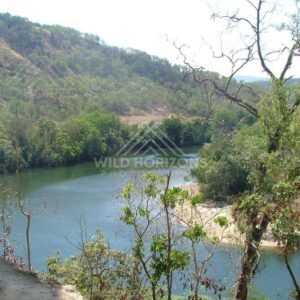 At the Bloomfield River, an elevated viewpoint overlooks green waters framed by rainforest slopes. Bloomfield River, Australia.