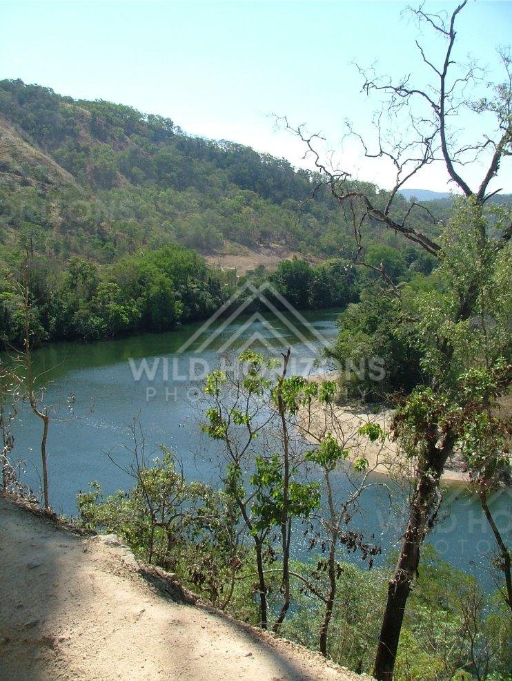 Beside the Bloomfield River, a shaded walking path looks over a quiet bend beneath jungle canopy. Bloomfield River, Australia.