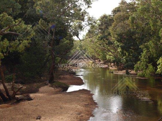 Along the Archer River, shaded banks frame the gentle flow of water through tropical forest. Archer River, Australia.