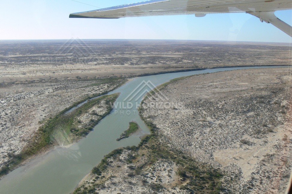 Aerial view of desert river approaching the Lake Eyre floodplain. Lake Eyre Basin, Australia.