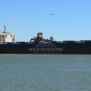 Close view of a bulk iron-ore carrier at Port Hedland. Pilbara, Australia.