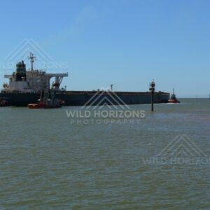 Tugboats guiding a loaded ore ship from Port Hedland channel. Pilbara, Australia.