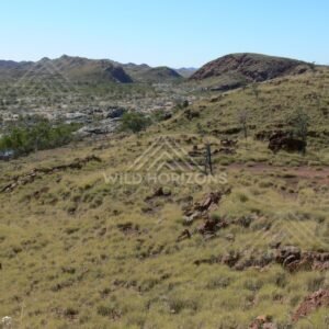 Stock gate overlooking a Pilbara valley with spinifex grassland. Pilbara, Australia.