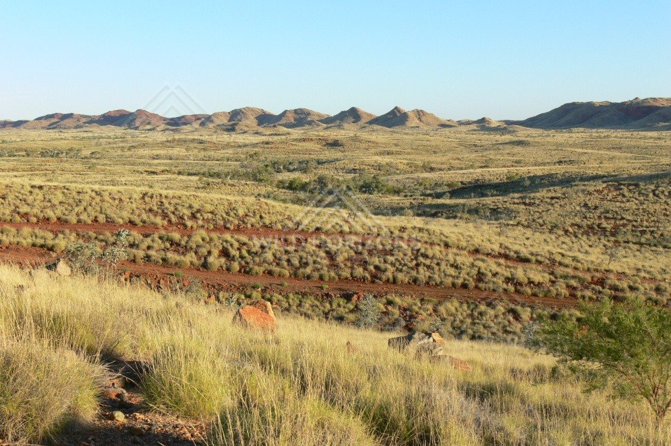 Red dirt station track crossing spinifex plains. Pilbara, Australia.