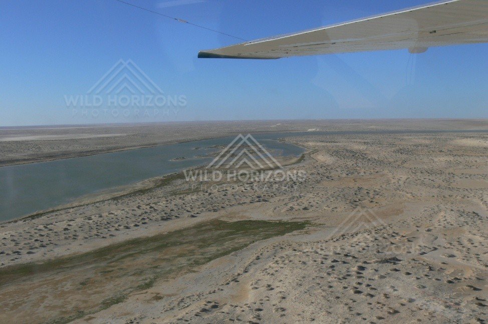 Inland floodwaters spreading across desert margins. Lake Eyre Basin, Australia.