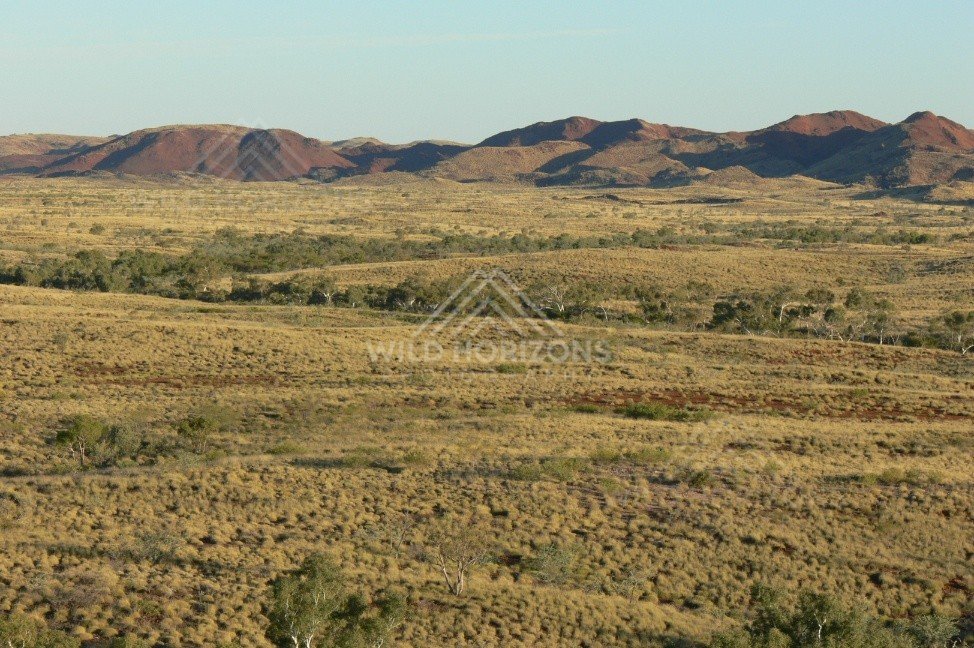 Wide spinifex plain with a creekline of trees below red ironstone hills. Pilbara, Australia.
