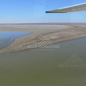 Meeting of shallow channels on the Lake Eyre floodplain. Lake Eyre Basin, Australia.