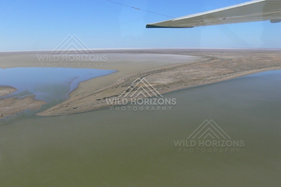 Meeting of shallow channels on the Lake Eyre floodplain. Lake Eyre Basin, Australia.