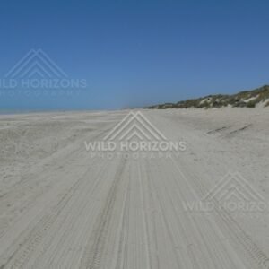 Empty coastal beach with low dunes and clear Indian Ocean horizon. Kimberley coast, Australia.