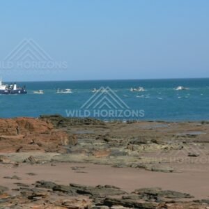 Recreational fishing boats near the jetty on the Indian Ocean. Derby, Western Australia, Australia.