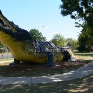 Replica giant saltwater crocodile statue in the main street park. Normanton, Queensland, Australia.