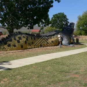 Side profile of the Normanton crocodile monument. Normanton, Queensland, Australia.