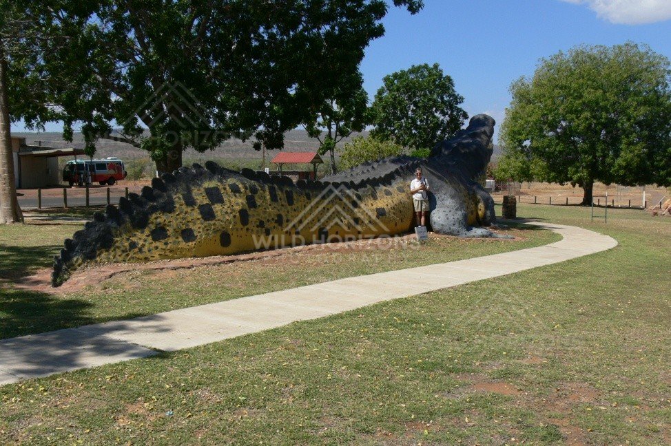 Side profile of the Normanton crocodile monument. Normanton, Queensland, Australia.