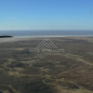 Salt lake horizon beyond patterned gibber plains. Lake Eyre Basin, Australia.