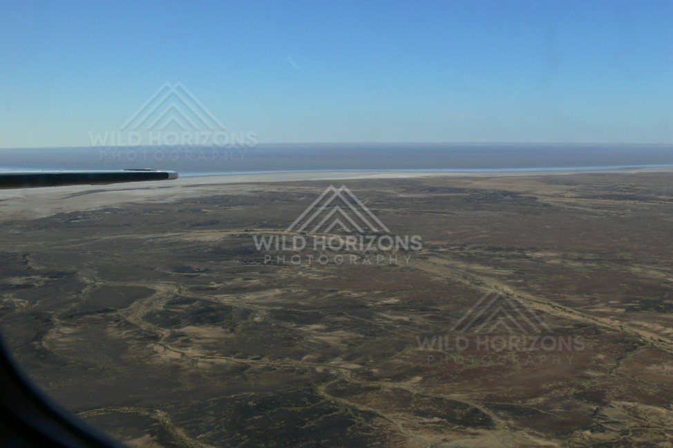 Salt lake horizon beyond patterned gibber plains. Lake Eyre Basin, Australia.