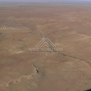 Dry desert plain with faint tree-lined creek. Channel Country, Australia.