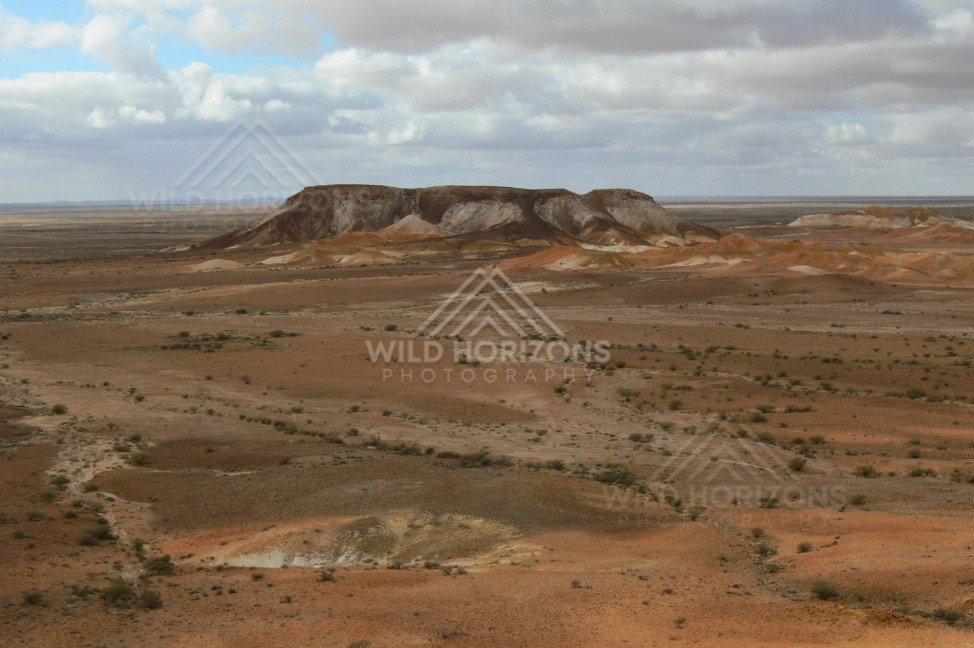 Weathered mesas rise above the ochre plains of the Breakaways with low desert shrubs scattered across the foreground. Kanku-Breakaways Conservation Park/Coober Pedy, Australia.