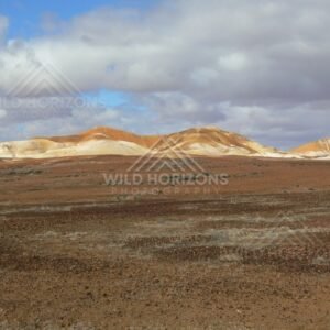 Pale eroded hills glow in afternoon light across the stony gibber plain of the Breakaways. Kanku-Breakaways Conservation Park/Coober Pedy, Australia.