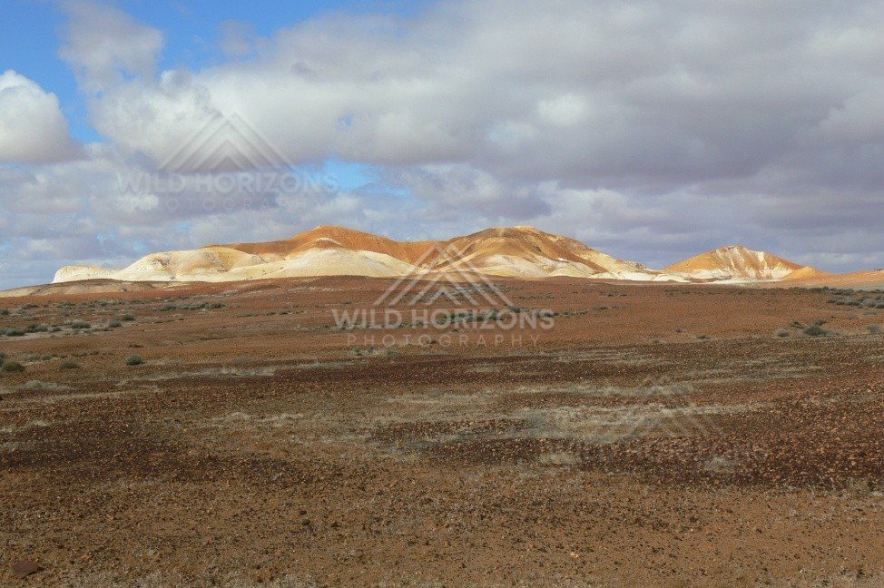 Pale eroded hills glow in afternoon light across the stony gibber plain of the Breakaways. Kanku-Breakaways Conservation Park/Coober Pedy, Australia.