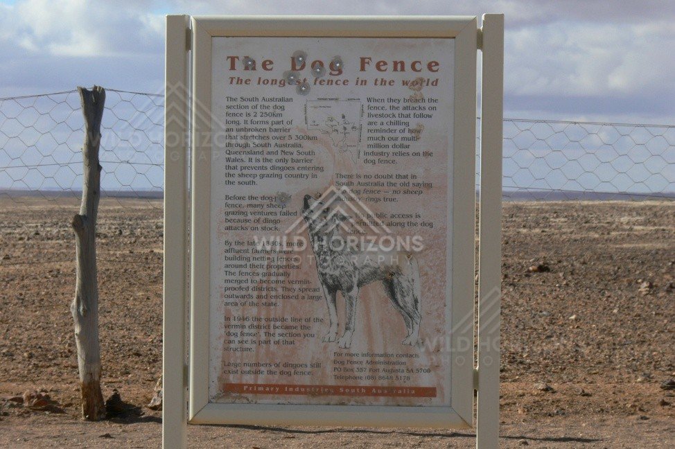 Interpretive sign marking the Dog Fence viewing point on the Stuart Highway. Dog Fence/Coober Pedy, Australia.