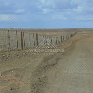 The Dog Fence stretches across the empty gibber plains beside a red dirt road. Dog Fence/Stuart Highway, Australia.